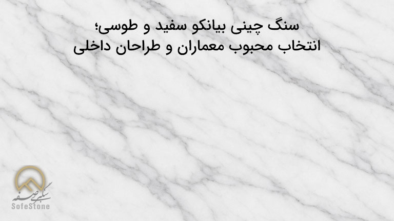 سنگ چینی بیانکو سفید و طوسی